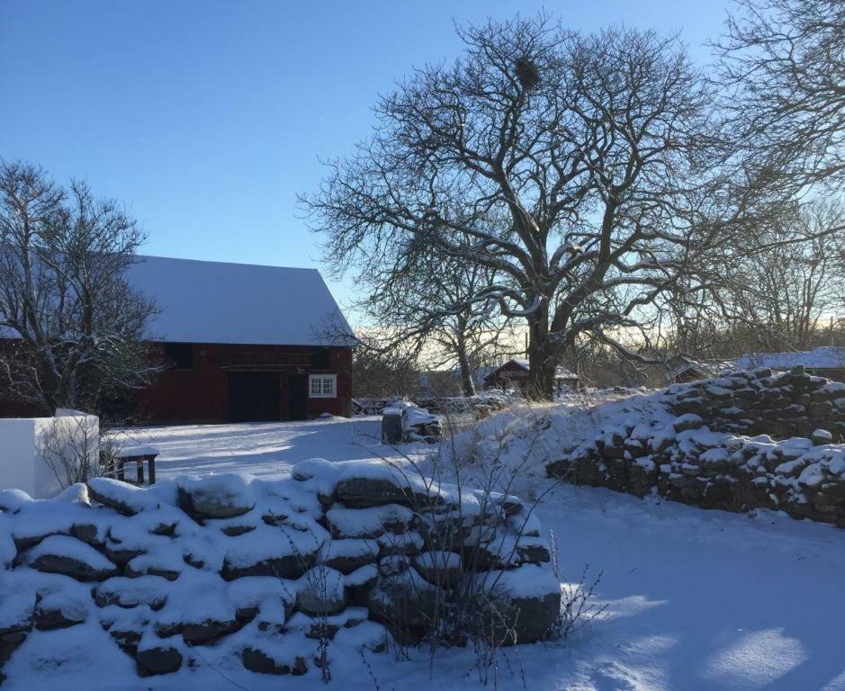 Rosenborgs Friluftspensionat Farjestaden Bagian luar foto