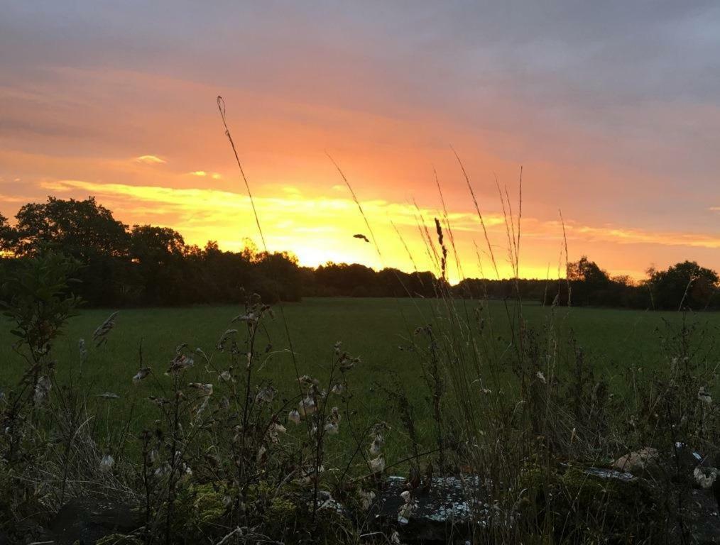Rosenborgs Friluftspensionat Farjestaden Bagian luar foto