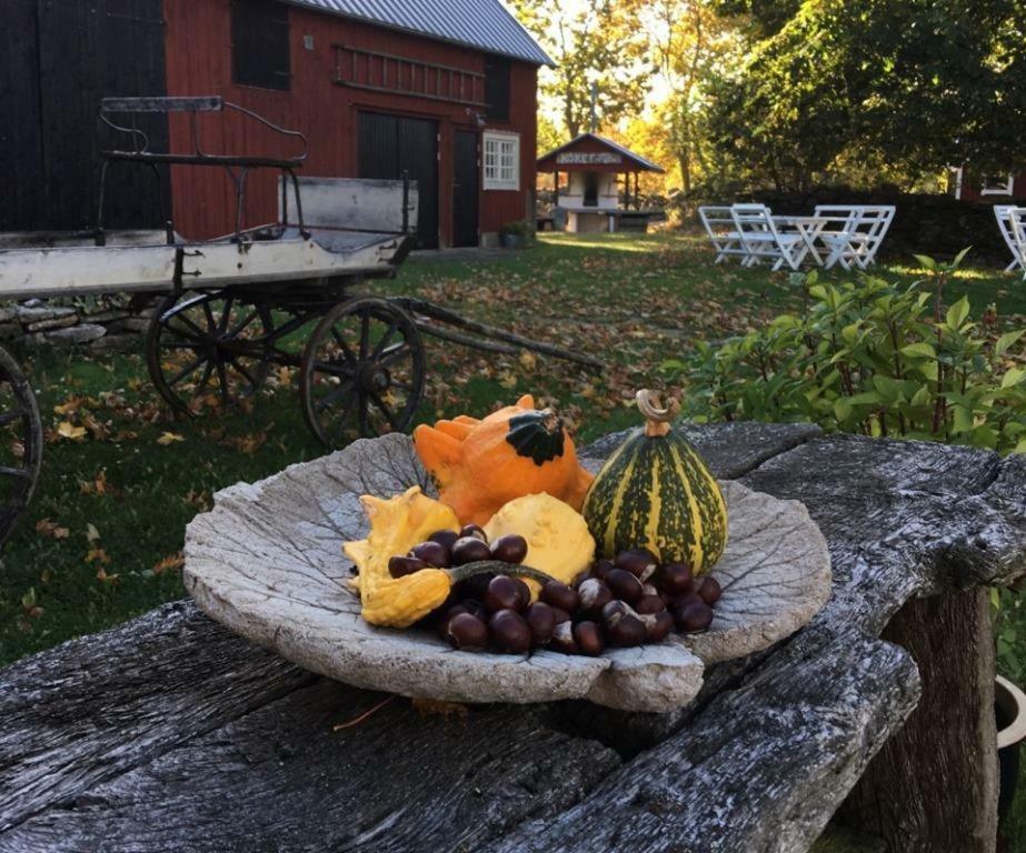 Rosenborgs Friluftspensionat Farjestaden Bagian luar foto