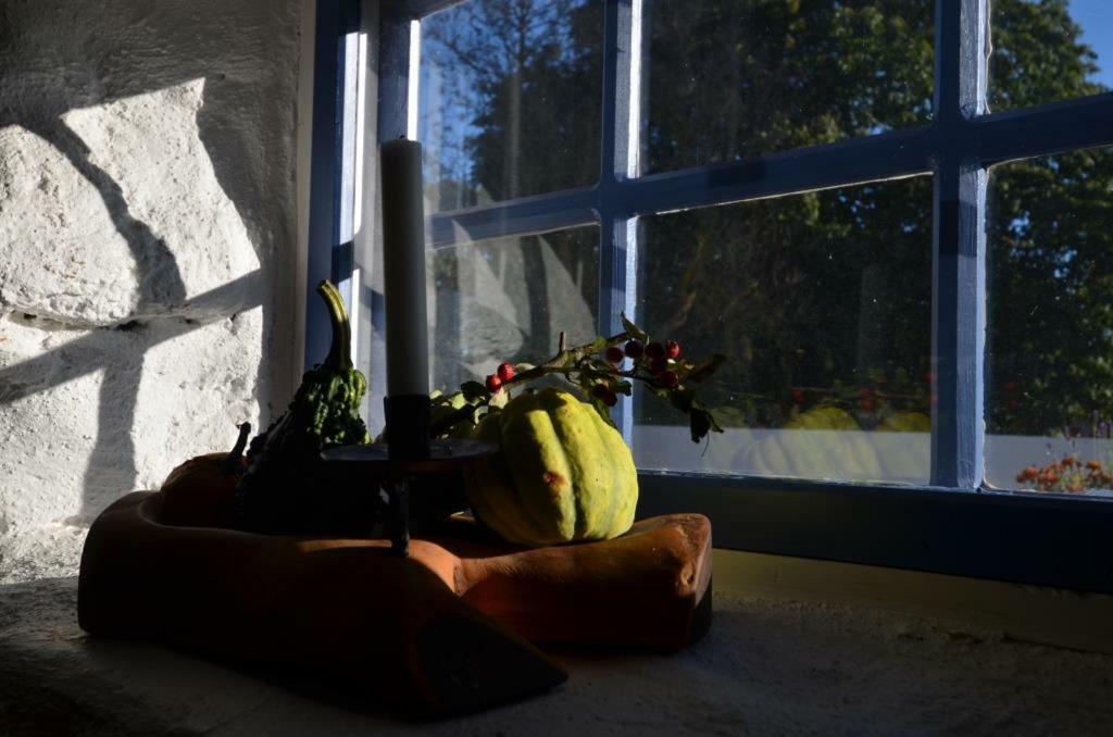 Rosenborgs Friluftspensionat Farjestaden Bagian luar foto