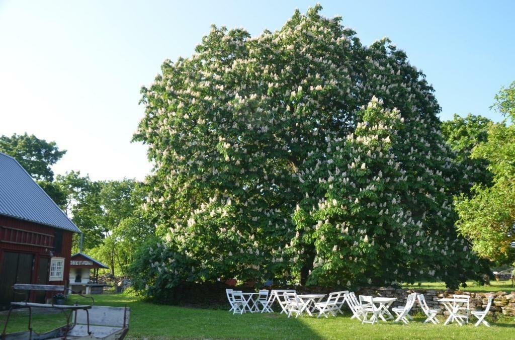 Rosenborgs Friluftspensionat Farjestaden Bagian luar foto
